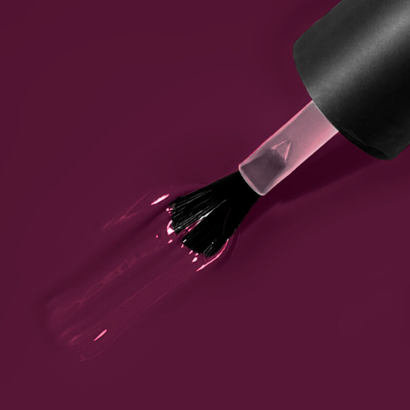 Pinotage-brushswipe-ColorMe